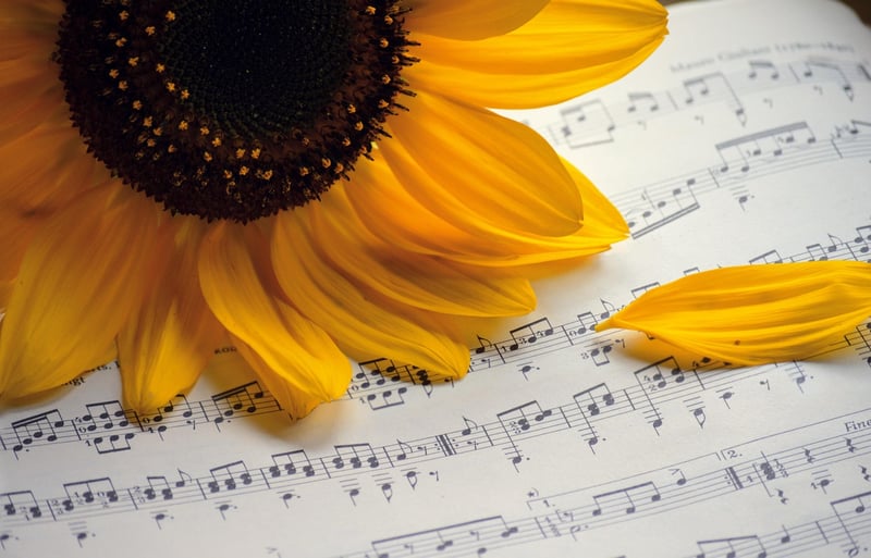 Galactic Music Concert